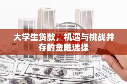 天涯大学生贷款，机遇与挑战并存的金融选择