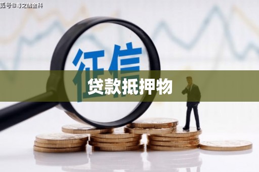 天涯贷款抵押物