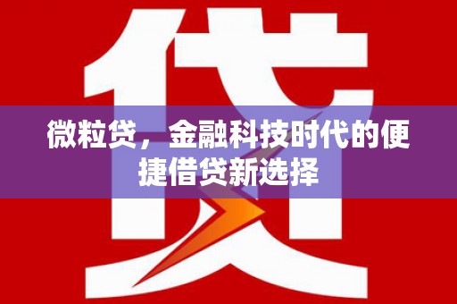 天涯微粒贷，金融科技时代的便捷借贷新选择