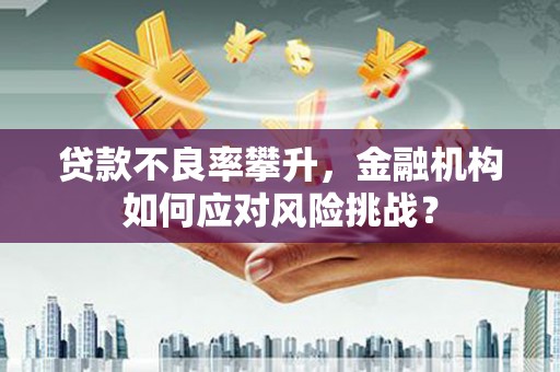 天涯贷款不良率攀升，金融机构如何应对风险挑战？