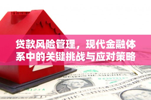 天涯贷款风险管理，现代金融体系中的关键挑战与应对策略