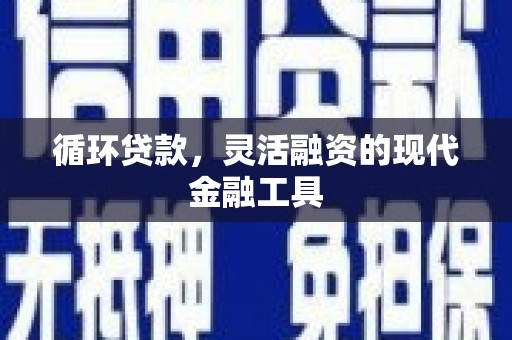 天涯循环贷款，灵活融资的现代金融工具