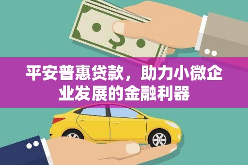 天涯平安普惠贷款，助力小微企业发展的金融利器