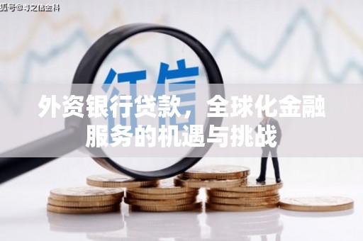 天涯外资银行贷款，全球化金融服务的机遇与挑战