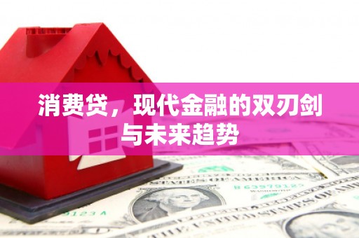 天涯消费贷，现代金融的双刃剑与未来趋势