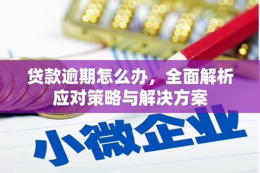 天涯贷款逾期怎么办，全面解析应对策略与解决方案