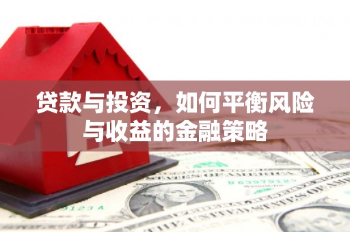 天涯贷款与投资，如何平衡风险与收益的金融策略
