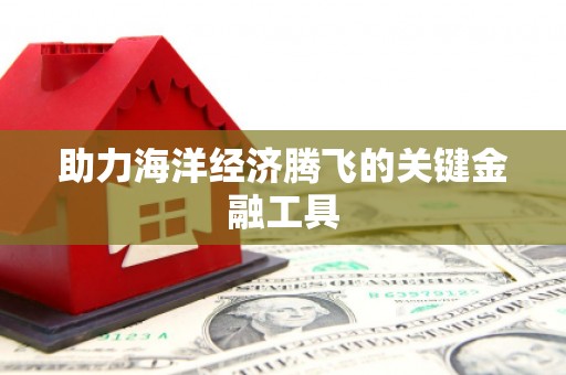 天涯助力海洋经济腾飞的关键金融工具