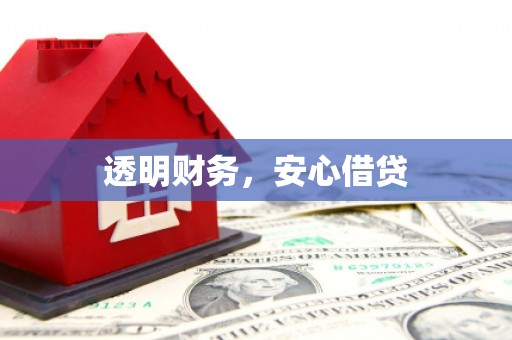 天涯透明财务，安心借贷