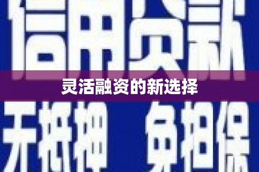 天涯灵活融资的新选择