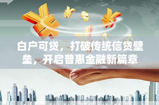 天涯白户可贷，打破传统信贷壁垒，开启普惠金融新篇章