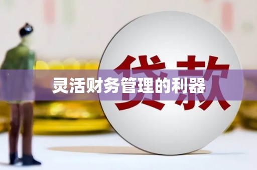 天涯灵活财务管理的利器