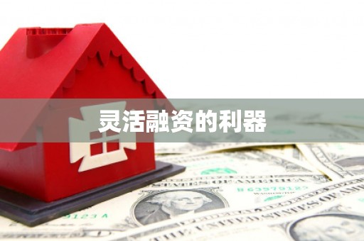 天涯灵活融资的利器
