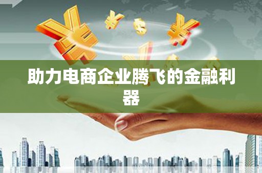 天涯助力电商企业腾飞的金融利器