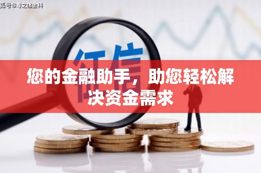 天涯您的金融助手，助您轻松解决资金需求