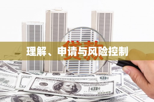 天涯理解、申请与风险控制