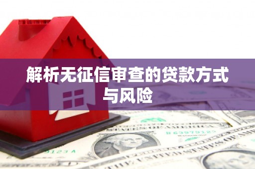 天涯解析无征信审查的贷款方式与风险