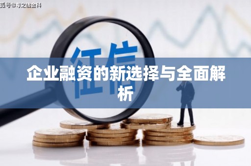 天涯企业融资的新选择与全面解析
