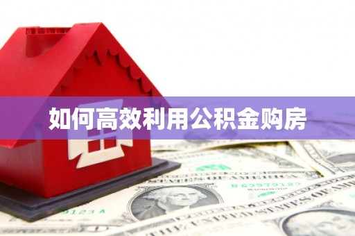 天涯如何高效利用公积金购房