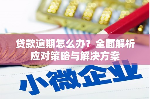 天涯贷款逾期怎么办？全面解析应对策略与解决方案