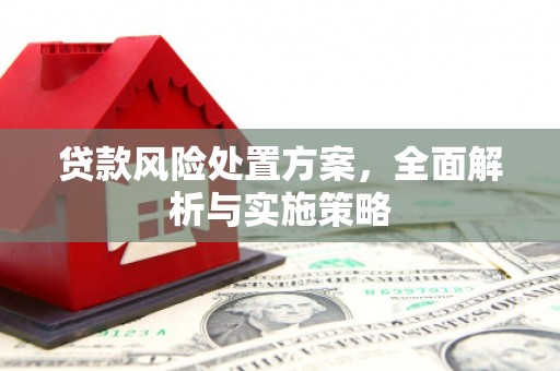 天涯贷款风险处置方案，全面解析与实施策略