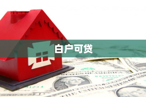 天涯白户可贷