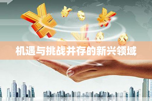天涯机遇与挑战并存的新兴领域