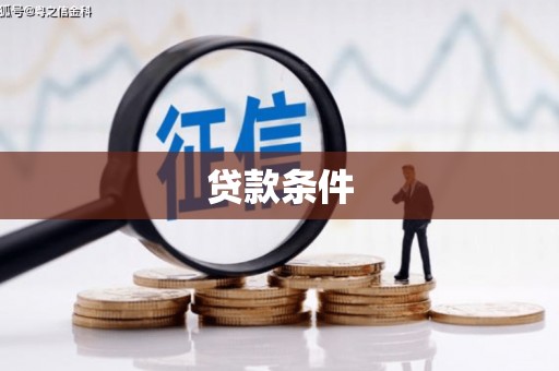 天涯贷款条件