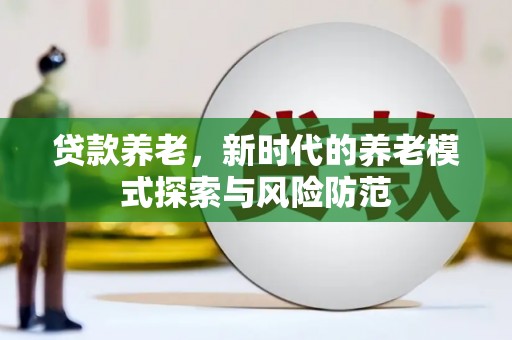 天涯贷款养老，新时代的养老模式探索与风险防范