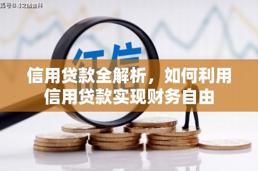 天涯信用贷款全解析，如何利用信用贷款实现财务自由