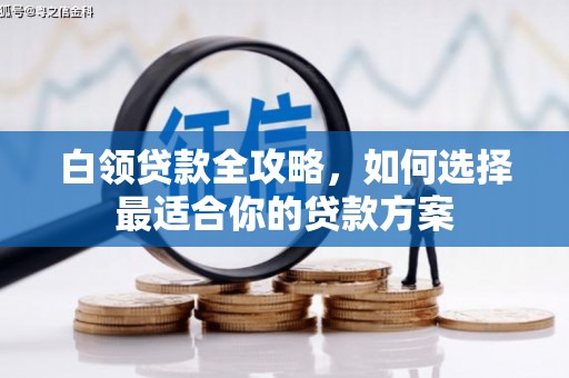 天涯白领贷款全攻略，如何选择最适合你的贷款方案